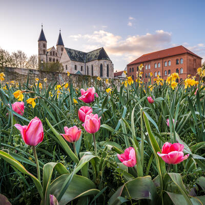 Kloster Unser Lieben Frauen im Frühling